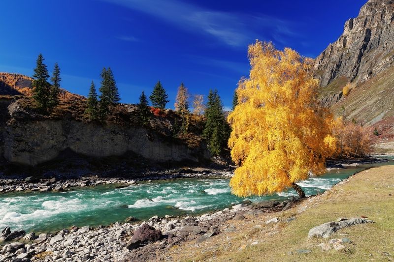 алтай, чуя Золотая осеньphoto preview