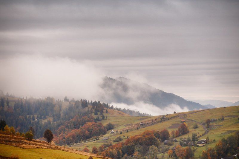 горы, дождь, карпаты, октябрь, осень, украина Немного октябряphoto preview