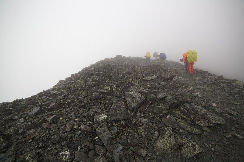 Выше ещё.....photo preview