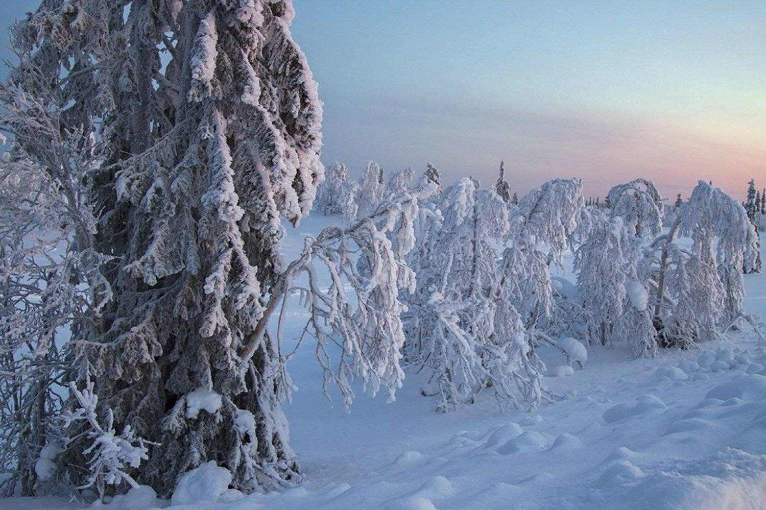 скандинавия, снег, швеция, Lapland