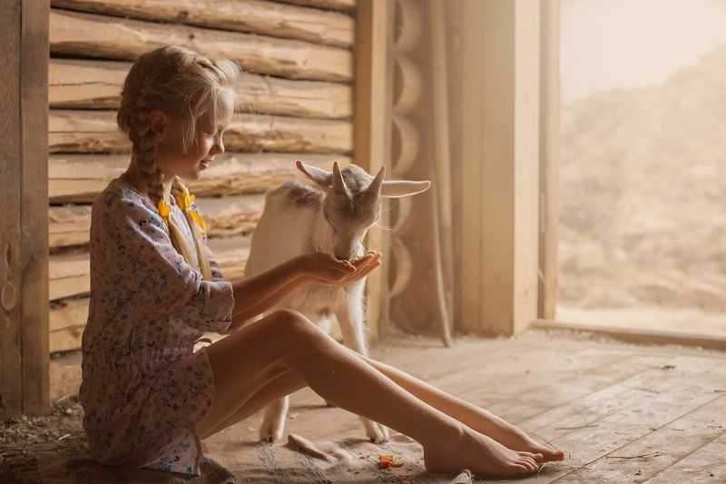 Утро на фермеphoto preview