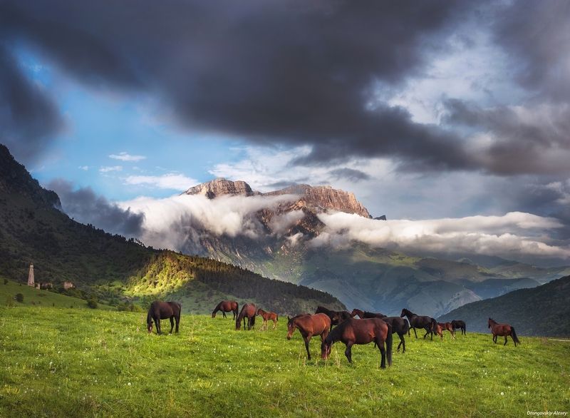 Горная Ингушетияphoto preview