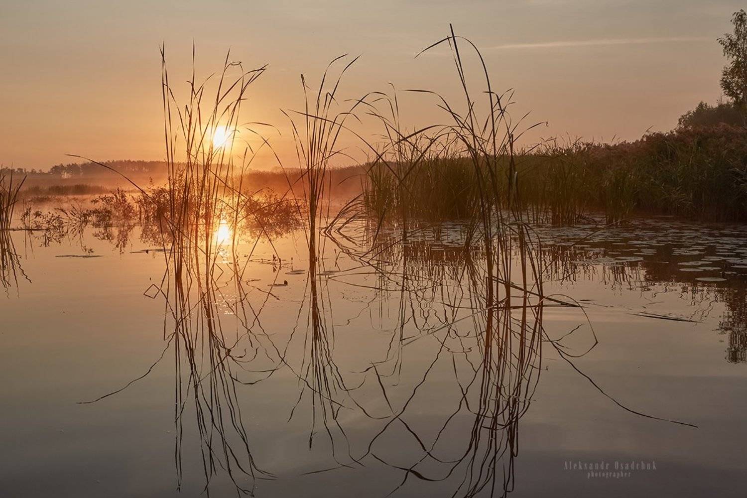 , александр осадчук