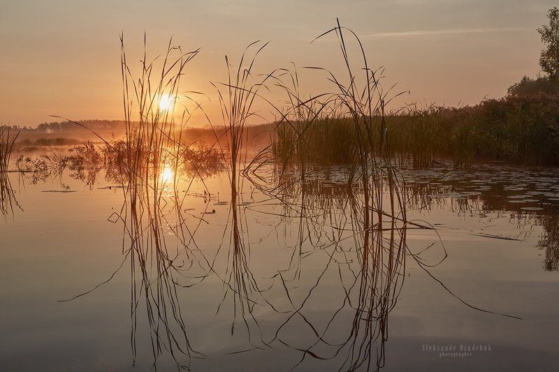 утроphoto preview