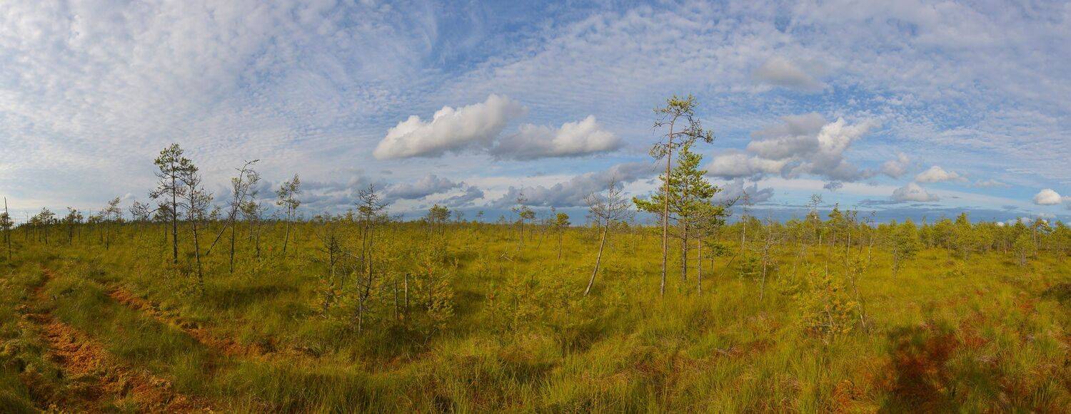 , Сергей Седов