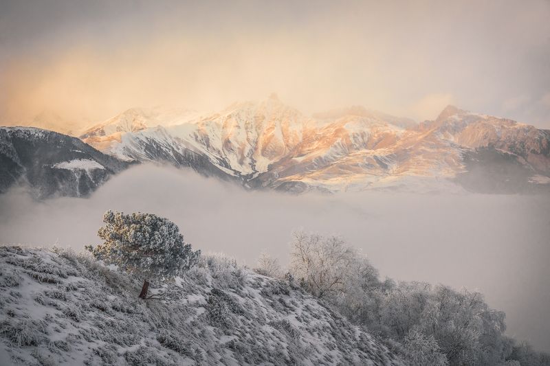 Природа заповедников и национальных парков Россииphoto preview