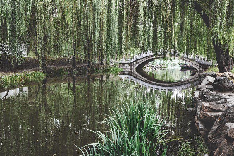 Пруд в дворцовом паркеphoto preview