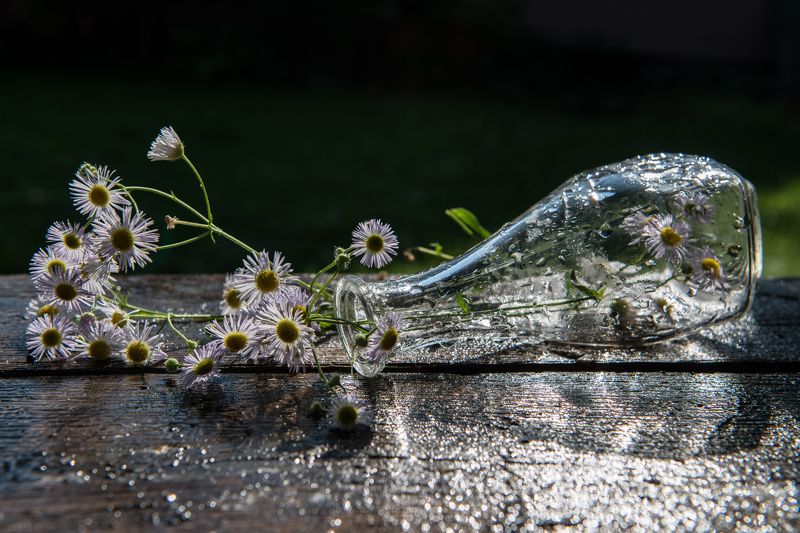 Про вазу и цветы..photo preview