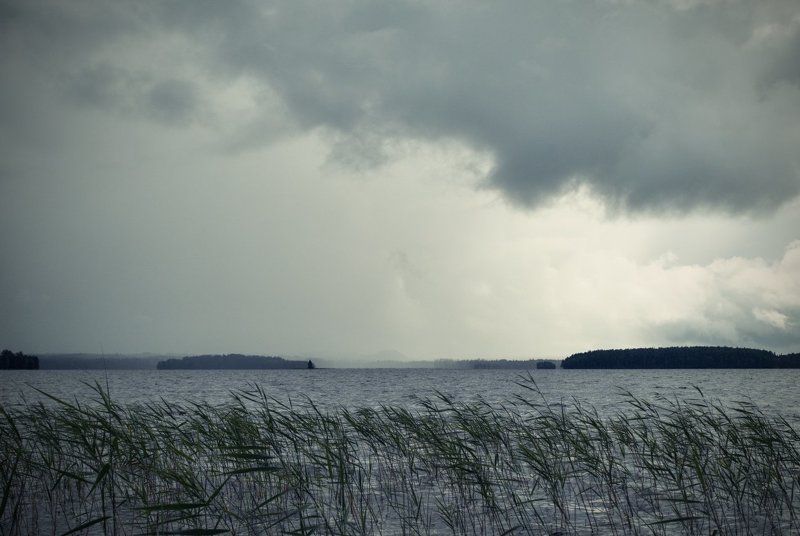 карелия Непогодаphoto preview