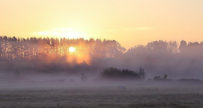 Туман-вечной тайны волшебствоphoto preview
