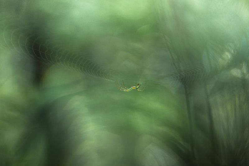 Upside Downphoto preview