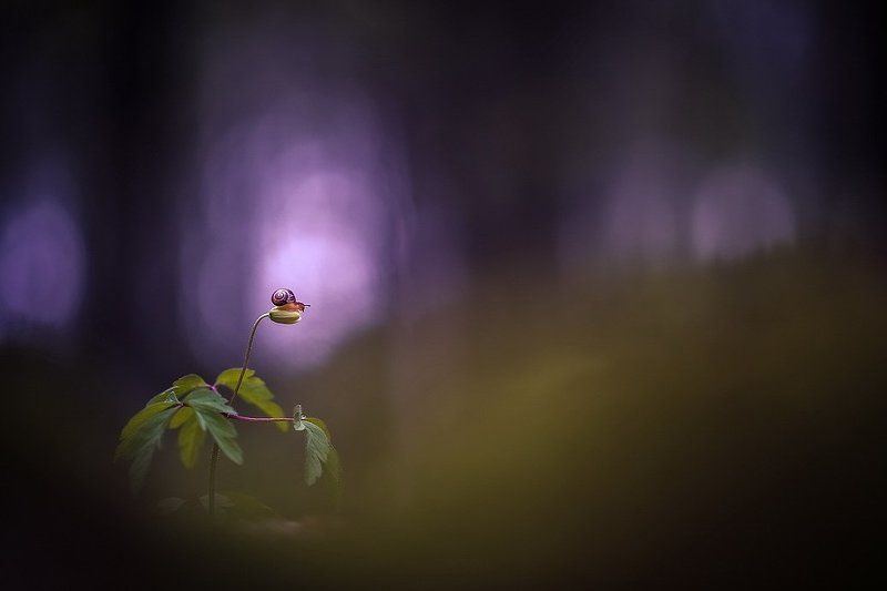 Высоко сижуphoto preview