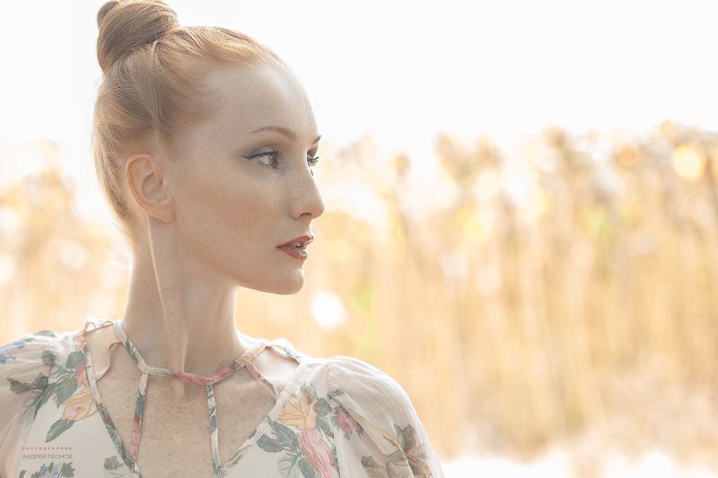 Светphoto preview