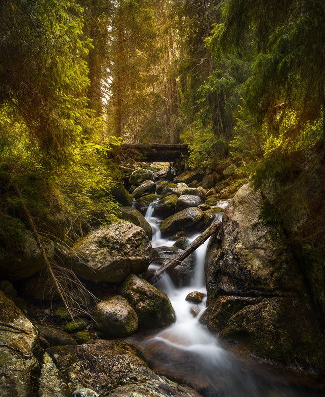 Приказно ручейчеphoto preview