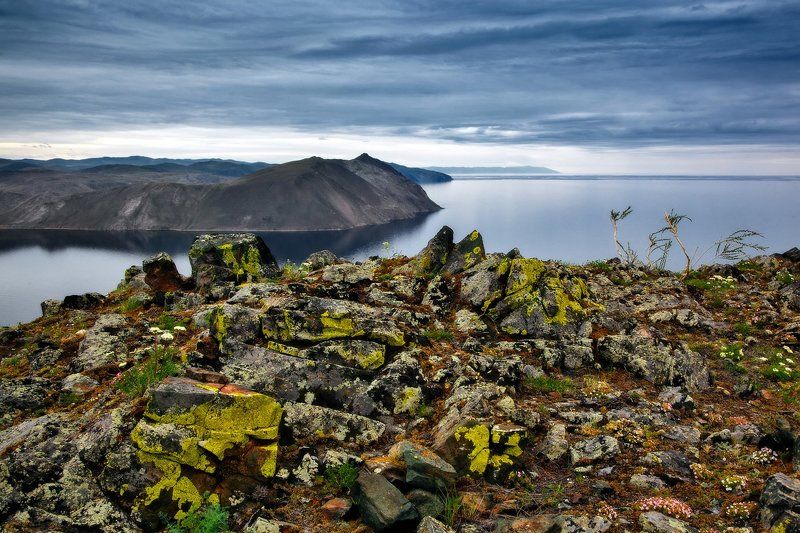 Камни цветутphoto preview