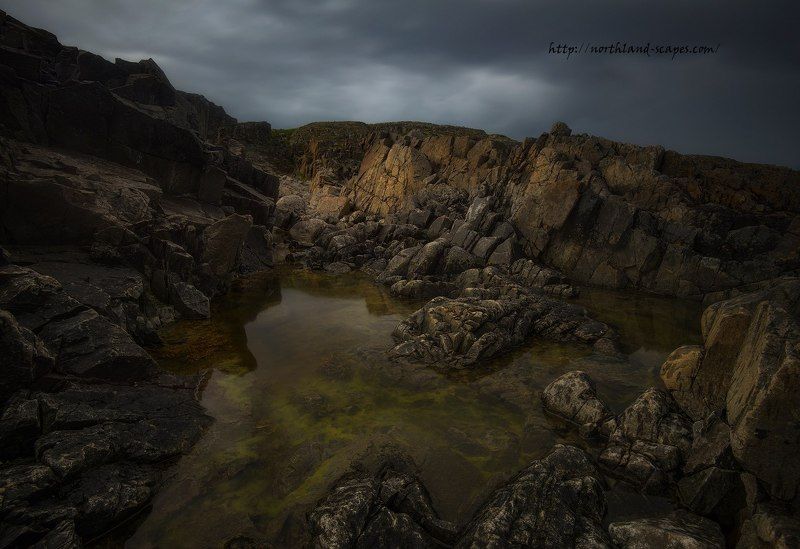 Побережье Баренцево моря, Кольский полуостров,  После дождяphoto preview