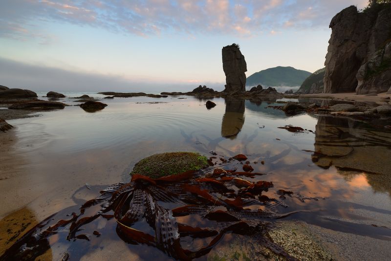 Капуста и море...photo preview