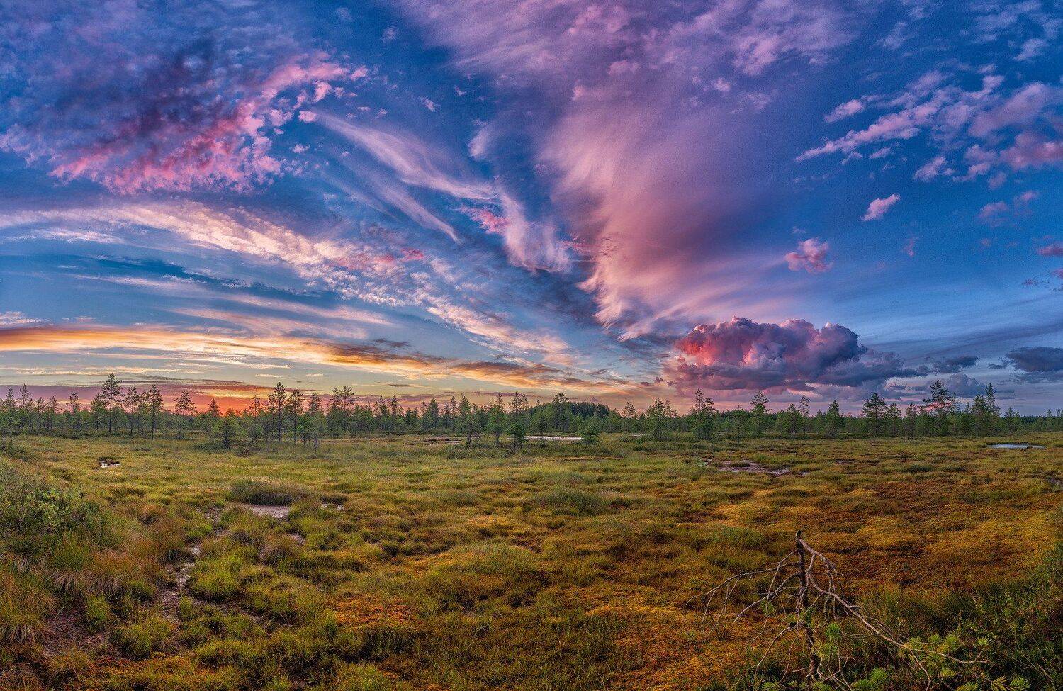 , Олег Авдеев