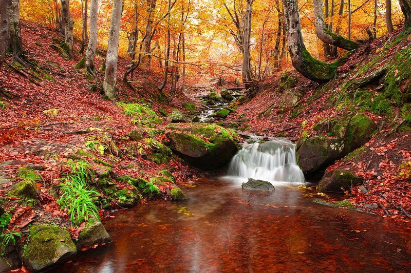 Осінь в Карпатах фото превью