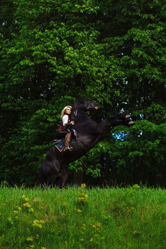 Warriorphoto preview