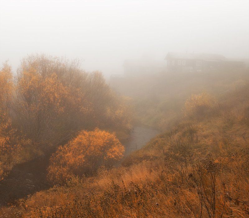 *******photo preview