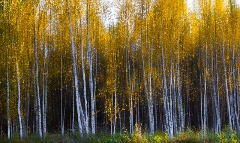 Осенний Урал*photo preview