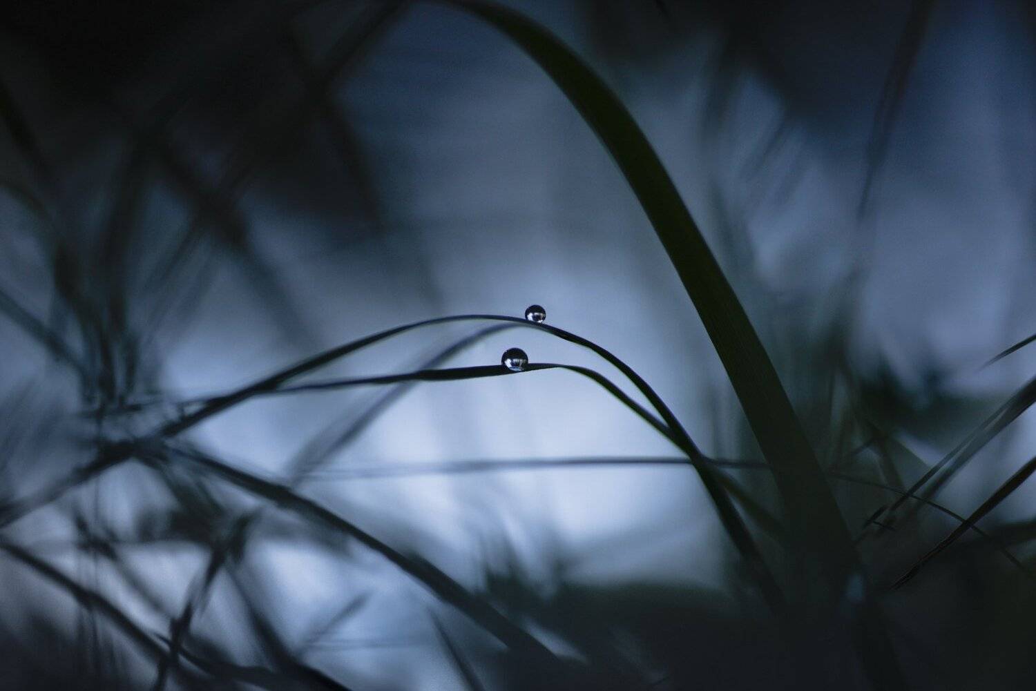 , Андрей Степанов