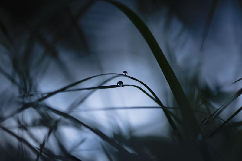 Остатки дождяphoto preview