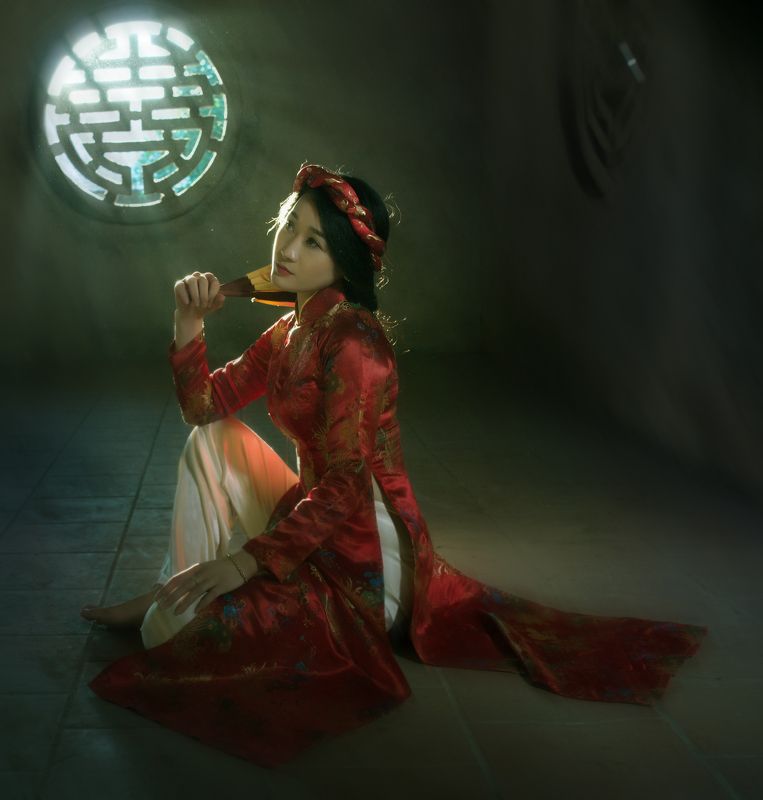 ha noi ao daiphoto preview