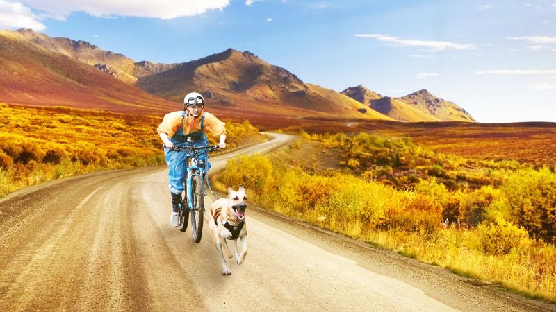 По дороге photo preview