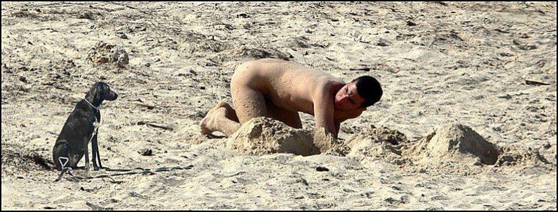 пляж последний раз спрашиваю,где трусы !?photo preview