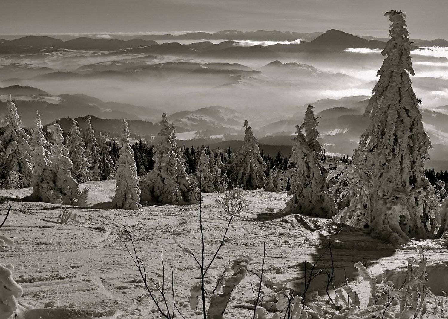 к зиме в гости. Автор: Vasylevskyy Vitaliy горы, зима, татры, Vasylevskyy Vitaliy