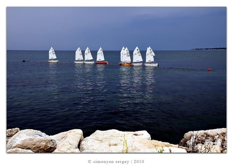 Молодая поросльphoto preview