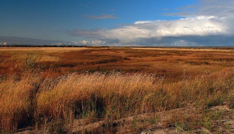 Осеньphoto preview