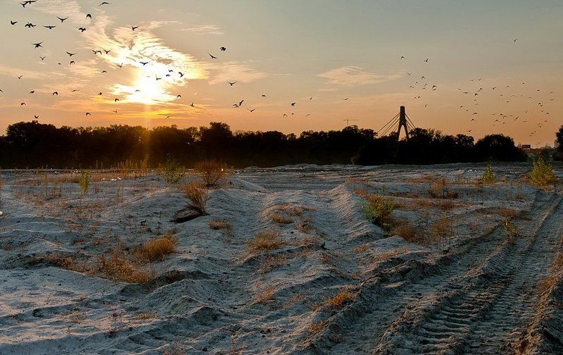 пустырь, закат, облака, песок, вороны На пустыре..photo preview