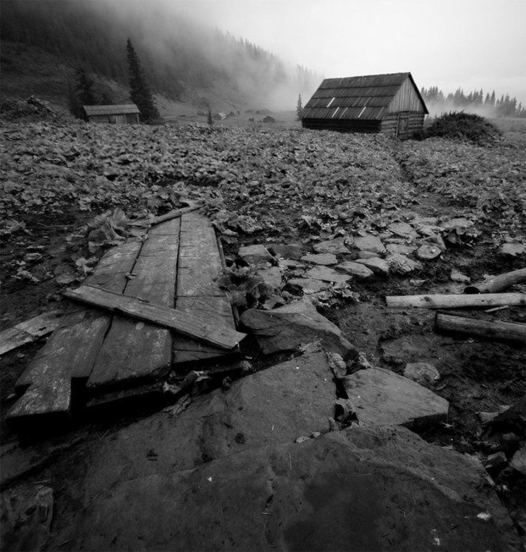 карпаты, природа, пейзаж, осень, жанр, дождь домphoto preview