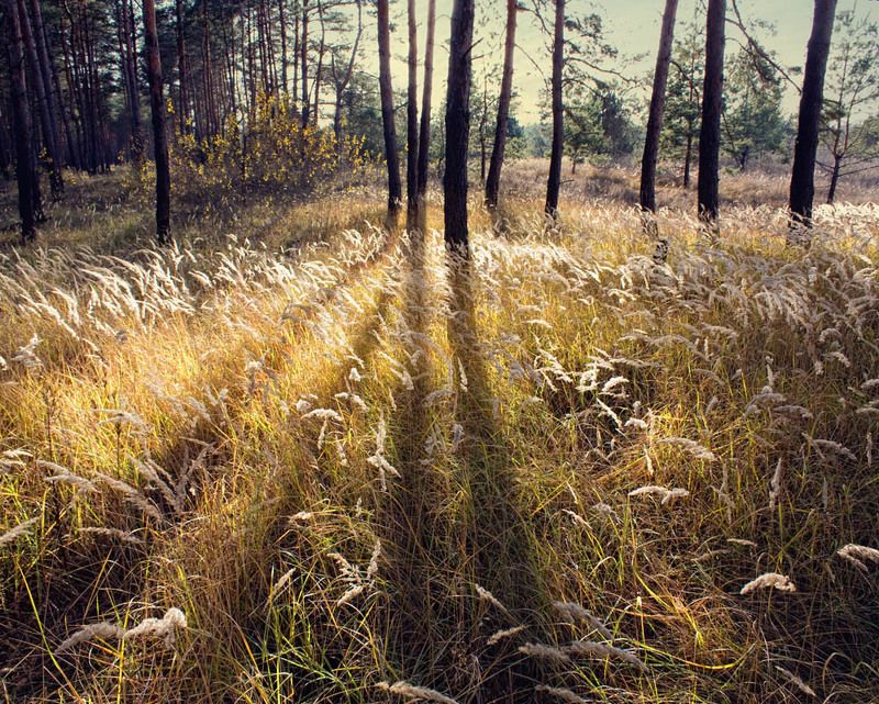 Игры светаphoto preview