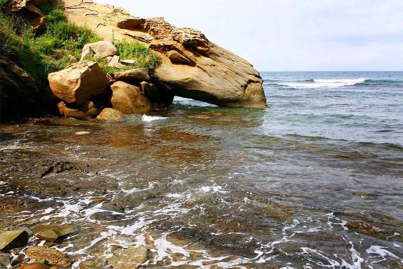 природа водопойphoto preview