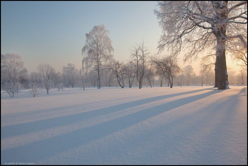 Зима в Царициноphoto preview
