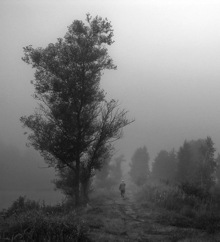 Будни* фото превью