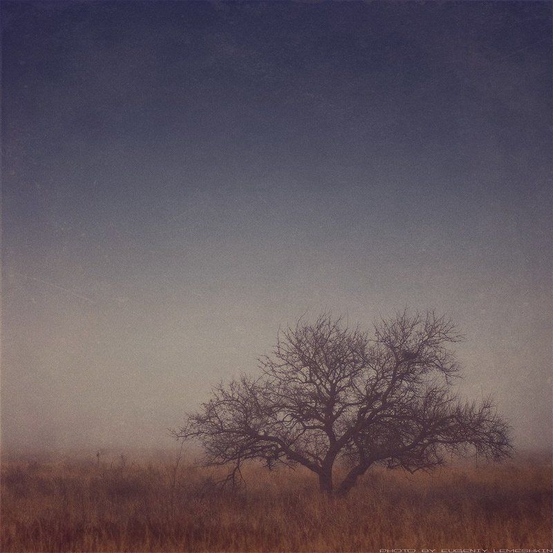 Осень в туманеphoto preview