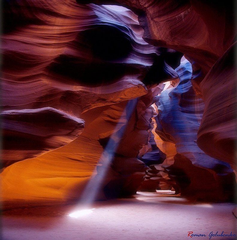 Восторг цветаphoto preview