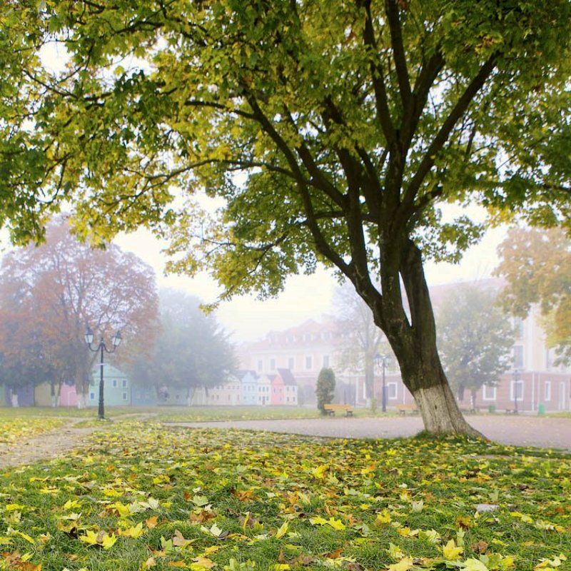 осень Осенняяphoto preview