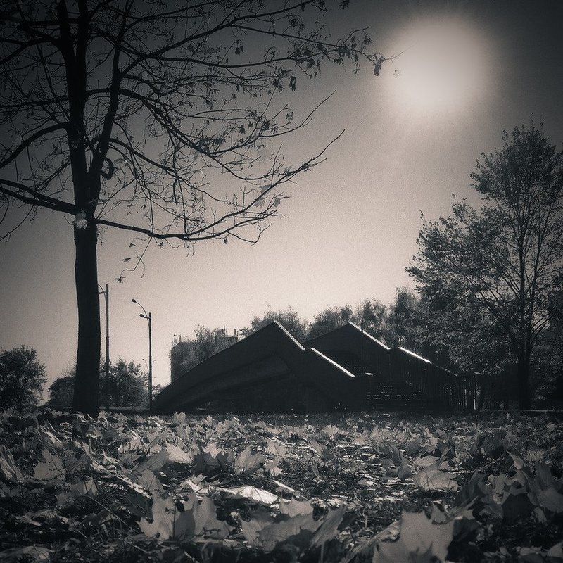 Про уходящую солнечную осеньphoto preview