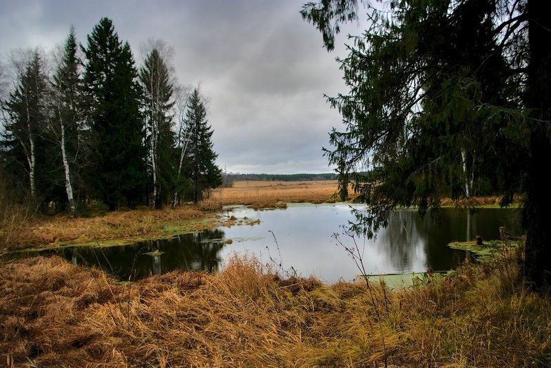 Короткая, но дивная пораphoto preview