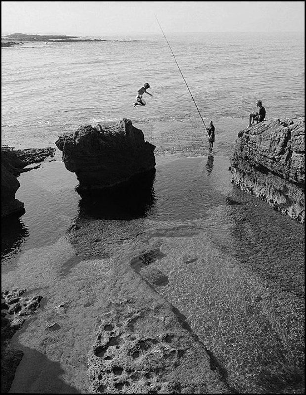 на живцаphoto preview