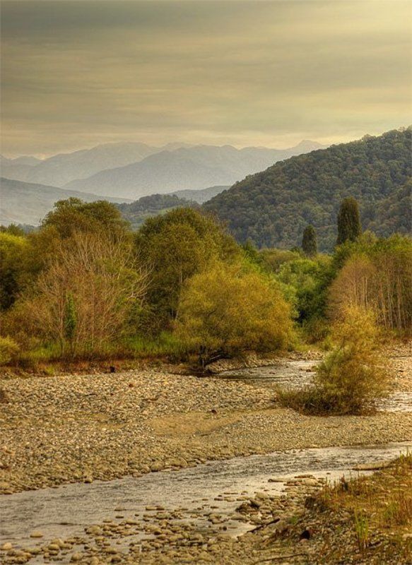 келасур ***photo preview