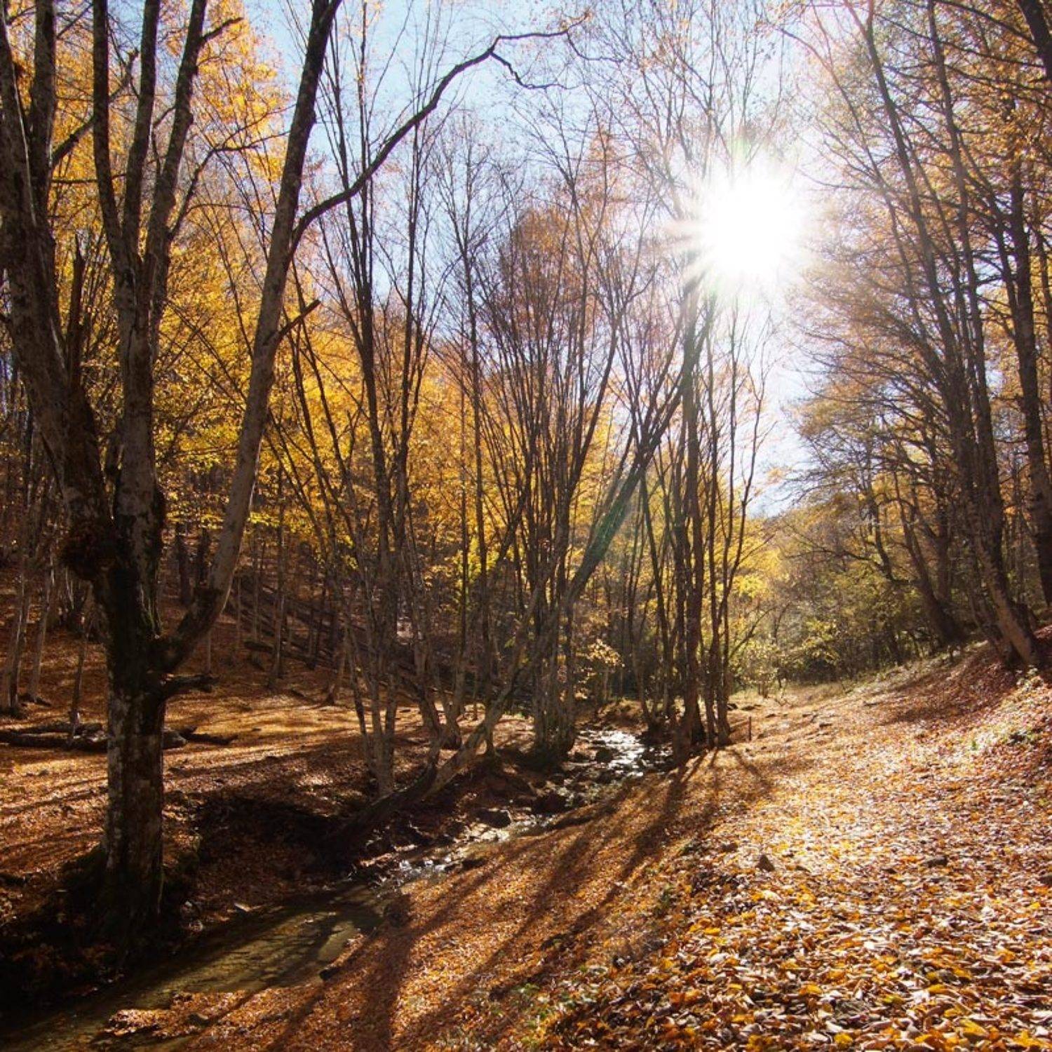 , Павел Лёушкин