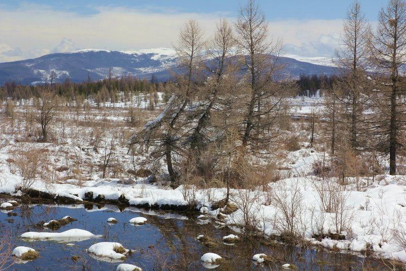 алтай ***На Улагане.23 мая 2010г.photo preview