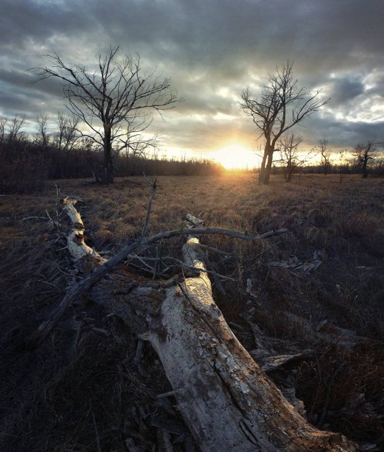 , Кирилл Брага